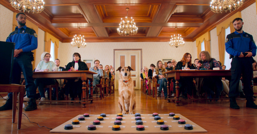 Le Procès du Chien | Gagnez vos billets de cinéma