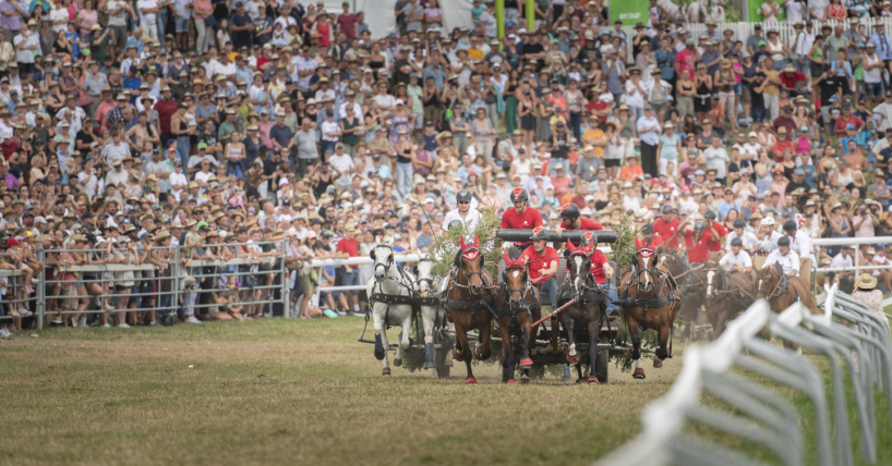 Gagnez des billets pour le Marché-Concours national de chevaux !