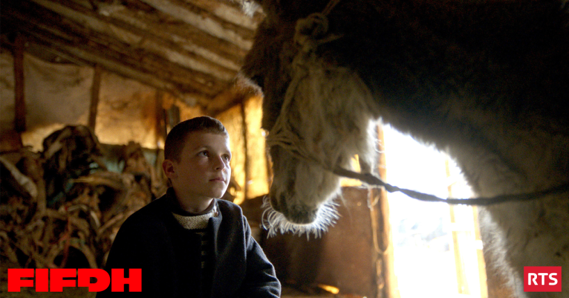 FIFDH - Gagnez des places pour La Beauté de l’Âne