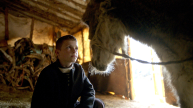 La beauté de l'âne | Gagnez vos billets de cinéma!