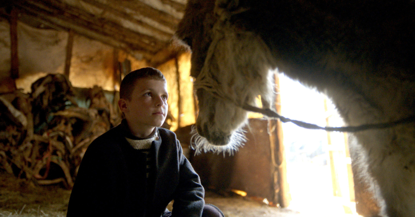 La beauté de l'âne | Gagnez vos billets de cinéma!