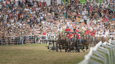 Gagnez des billets pour le Marché-Concours national de chevaux !