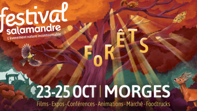 Gagnez vos places pour le Festival Salamandre !