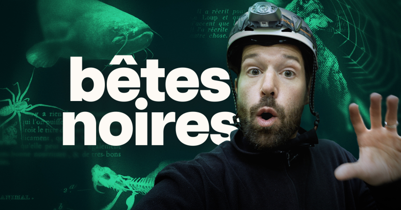 Projection de "Bêtes noires" à Aquatis