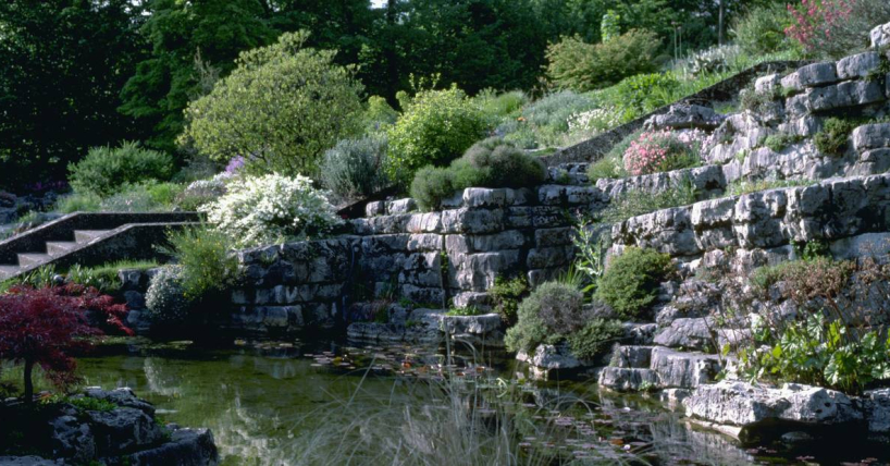 Atelier interview au Naturéum - Jardin botanique de Lausanne