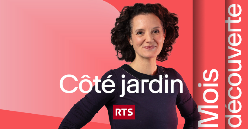 Assistez à Côté jardin en direct